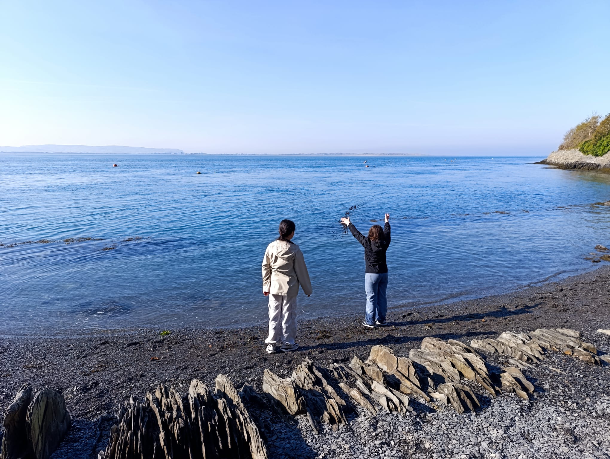 IMG-20250411-WA0003